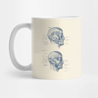 Face Muscular Diagram - Dual Side View Mug